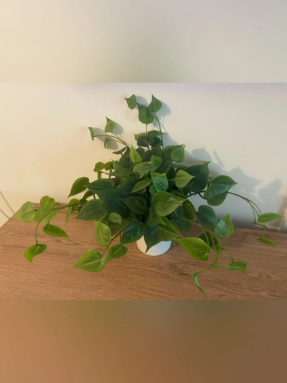 Artificial Pothos Plant